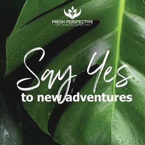 say yes to new adventures fresh perspective landscapes blue mountains