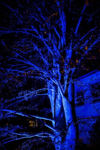 Katoomba Garden Lighting Iris Spike Spotlights