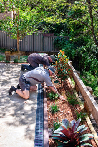 Planting garden beds
