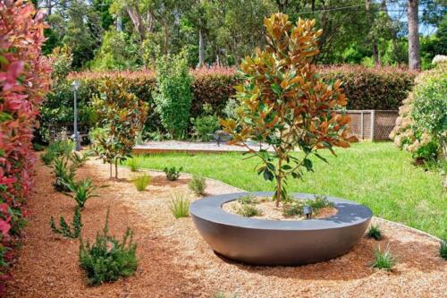 Feature-Pot-In-Mulched-Garden-Bed