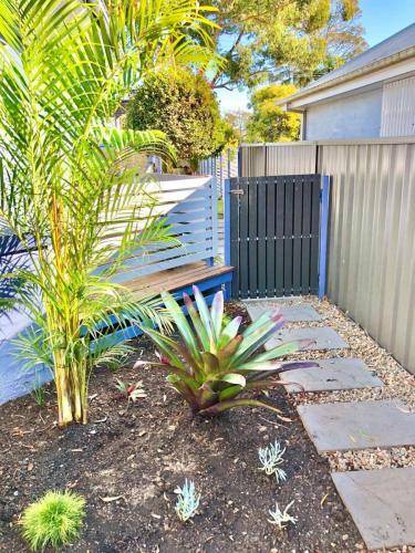Garden Bed Palms and Paved Path Steppers