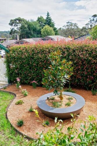 Round-concrete-garden-bed-feature-pot