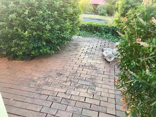 Winmalee retaining wall sloping block paving sandstone turf landscape construction blue mountains structural fresh perspective landscapes Winmalee 8